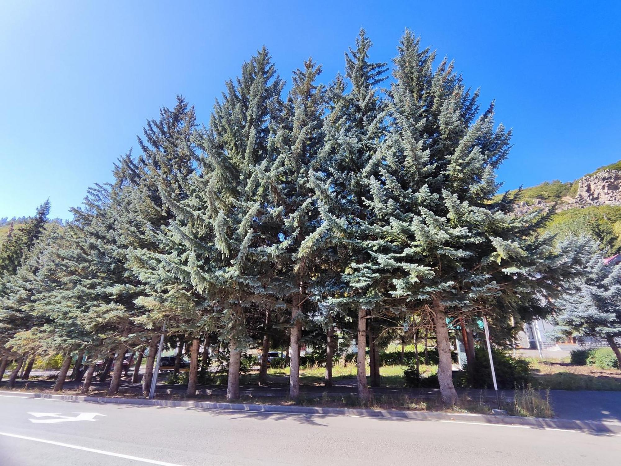 Jermuk Mini Apartment 外观 照片